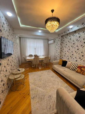 Modern apartment